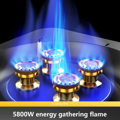 BISINNA™ Dual-Fuel Windproof Camping Stove